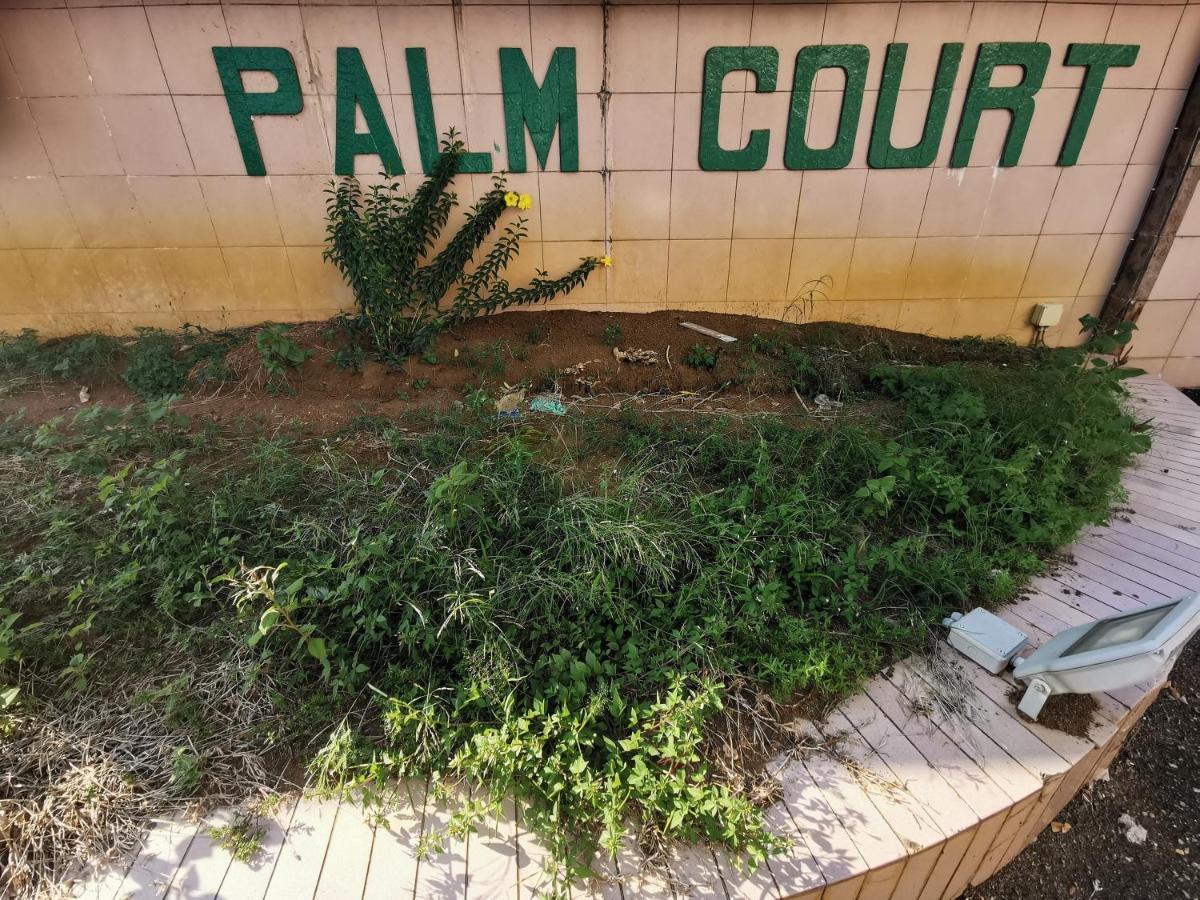 Diy Palm Court Bedroom Kuantan Exterior foto
